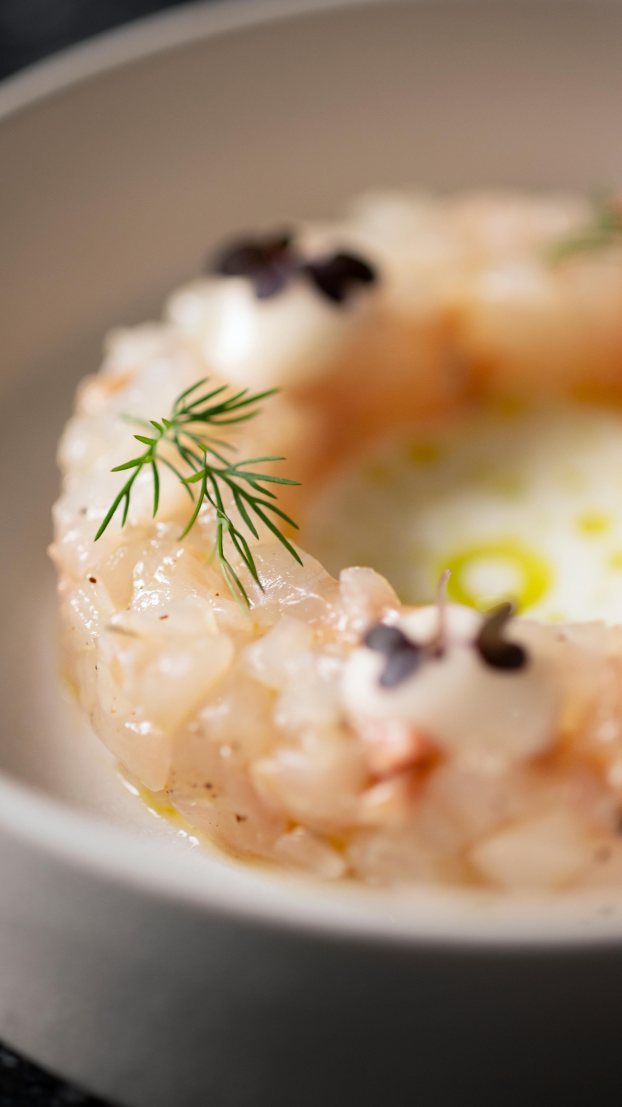 Dettaglio di una tartare di ricciola con erbe e germogli